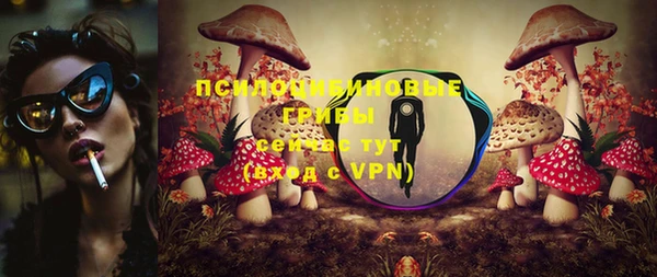 дмт Нефтегорск