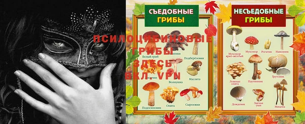 тгк Нефтекумск
