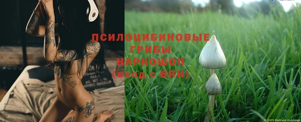 дмт Нефтегорск